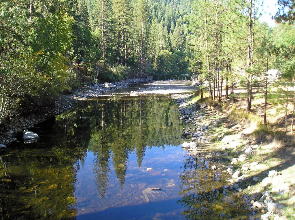 Yosemite Lakes Cabin 37 Harden Flat Bagian luar foto